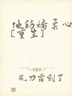 他的娇柔心尖宠[重生]