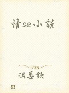 情se小说