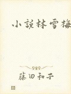 小说林雪梅