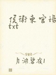 侯卫东官场笔记txt