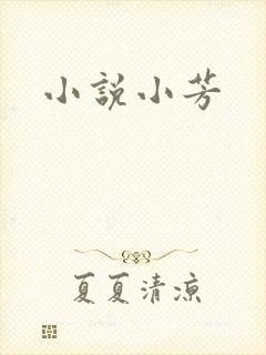 小说小芳