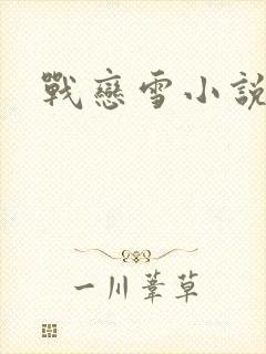 战恋雪小说