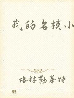 我的名模小娇妻