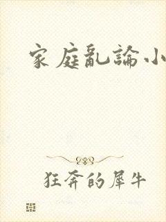 家庭乱论小说