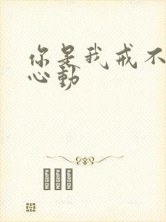 你是我戒不掉的心动