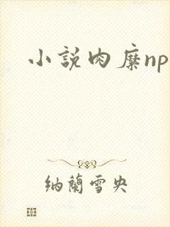 小说肉糜np
