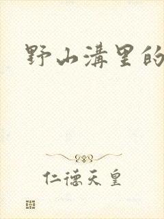 野山沟里的村庄