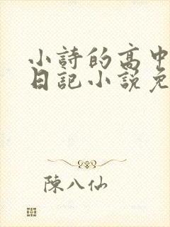 小诗的高中成长日记小说免费阅读
