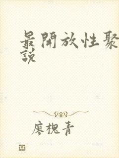 最开放性聚会小说