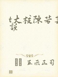t大校陈若芸小说