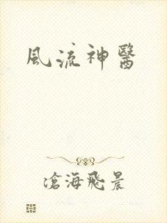 风流神医