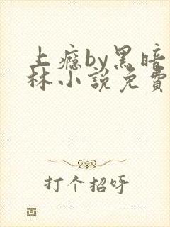 上瘾by黑暗森林小说免费