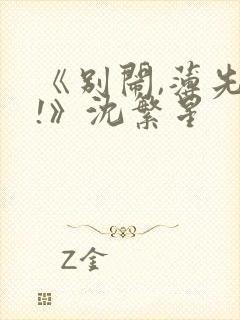 《别闹,薄先生!》沈繁星