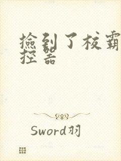 捡到了校霸的遥控器