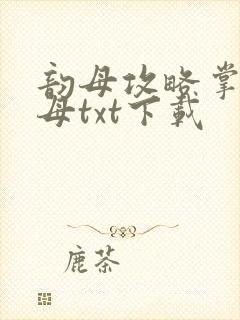 韵母攻略掌中美母txt下载