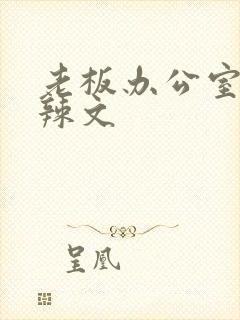 老板办公室系列辣文