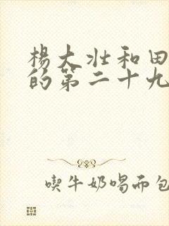 杨大壮和田桂花的第二十九