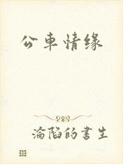 公车情缘