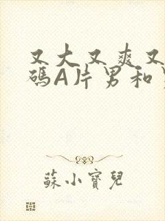 又大又爽又黄无码A片男和男