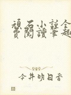 顽石小说全文免费阅读笔趣阁