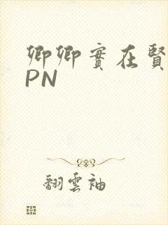 卿卿实在贤良NPN