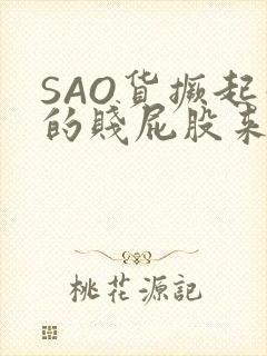 SAO货撅起你的贱屁股来