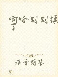 啊哈别别揉那处了