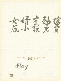 女婿有劲枪枪到底小说免费阅读