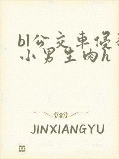 bl公交车侵犯小男生肉h