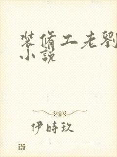 装修工老刘林雪小说