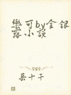 乐可by金银花露小说