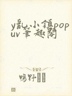 y乱小镇popuv笔趣阁
