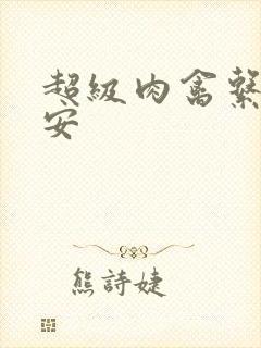 超级肉禽系统保安