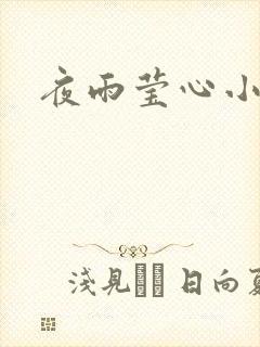 夜雨莹心小说