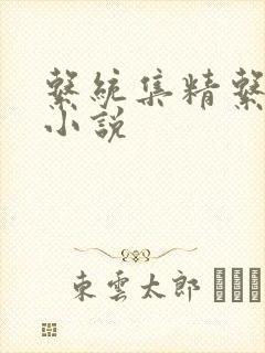 系统集精系统 小说