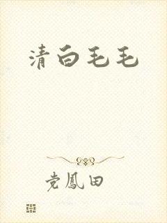 清白毛毛