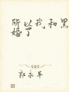 所以我和黑粉结婚了
