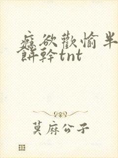 瘾欲欢愉半块小饼干tnt