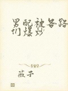 男配被各路大佬们爆炒