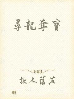 寻龙夺宝