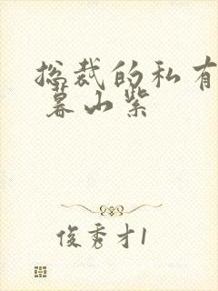 总裁的私有宝贝 暮山紫