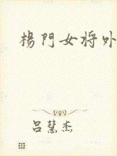 杨门女将外传