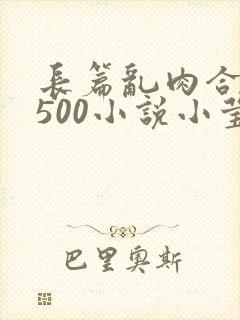 长篇乱肉合集乱500小说小莹