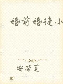 婚前婚后小说