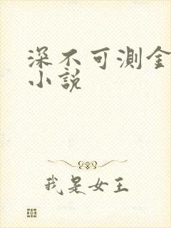 深不可测金银花小说