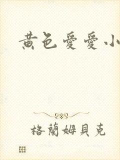 黄色爱爱小说