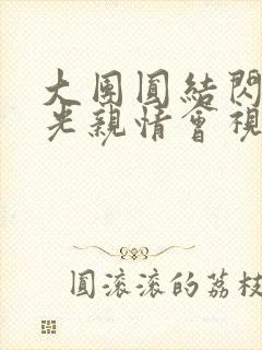 大团圆结闪闪发光亲情会视频