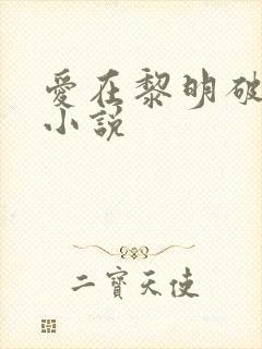 爱在黎明破晓前小说