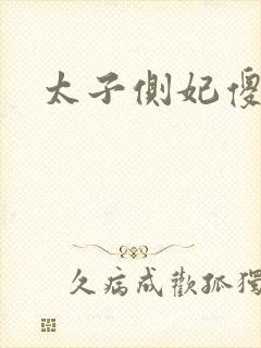 太子侧妃傻乎乎