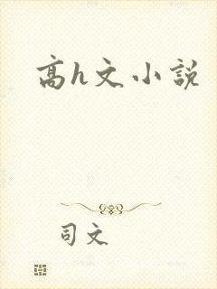 高h文小说